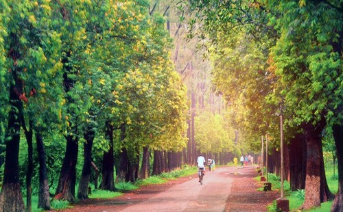 বোটানিক্যাল গার্ডেনে প্রবেশ ফি পাঁচগুণ বেড়ে ১০০ 