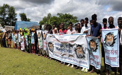 জলবায়ু উষ্ণতায় বাঘ ও সুন্দরবনের অস্তিত্ব হুমকিতে 