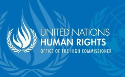 জাতিসংঘের চিঠির জবাব দিল সরকার 