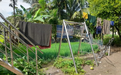 রায়পুরে স্কুল মাঠে চাষাবাদ; খেলাধুলা থেকে বঞ্চিত শিক্ষার্থীরা 